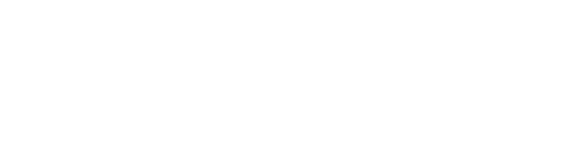 /assets/images/clients/VOSS Logo.png